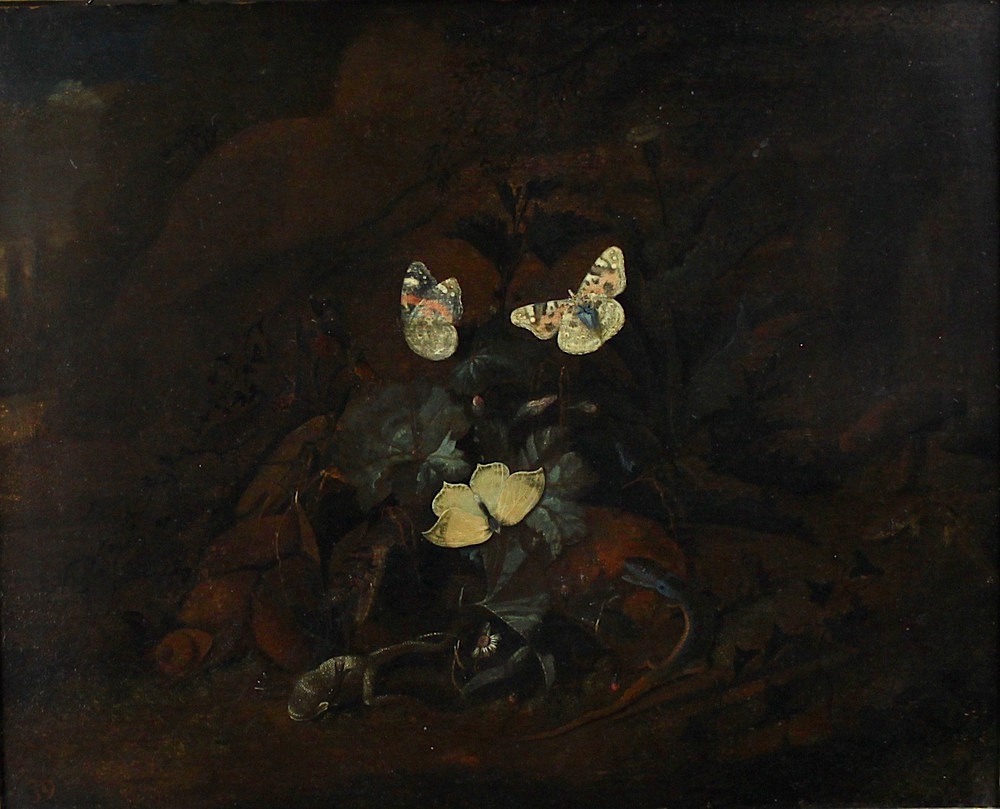 Otto Marseus Van Schrieck (Numega 1619 - Amsterdam 1678) attribuito - attributed - Image 3 of 6