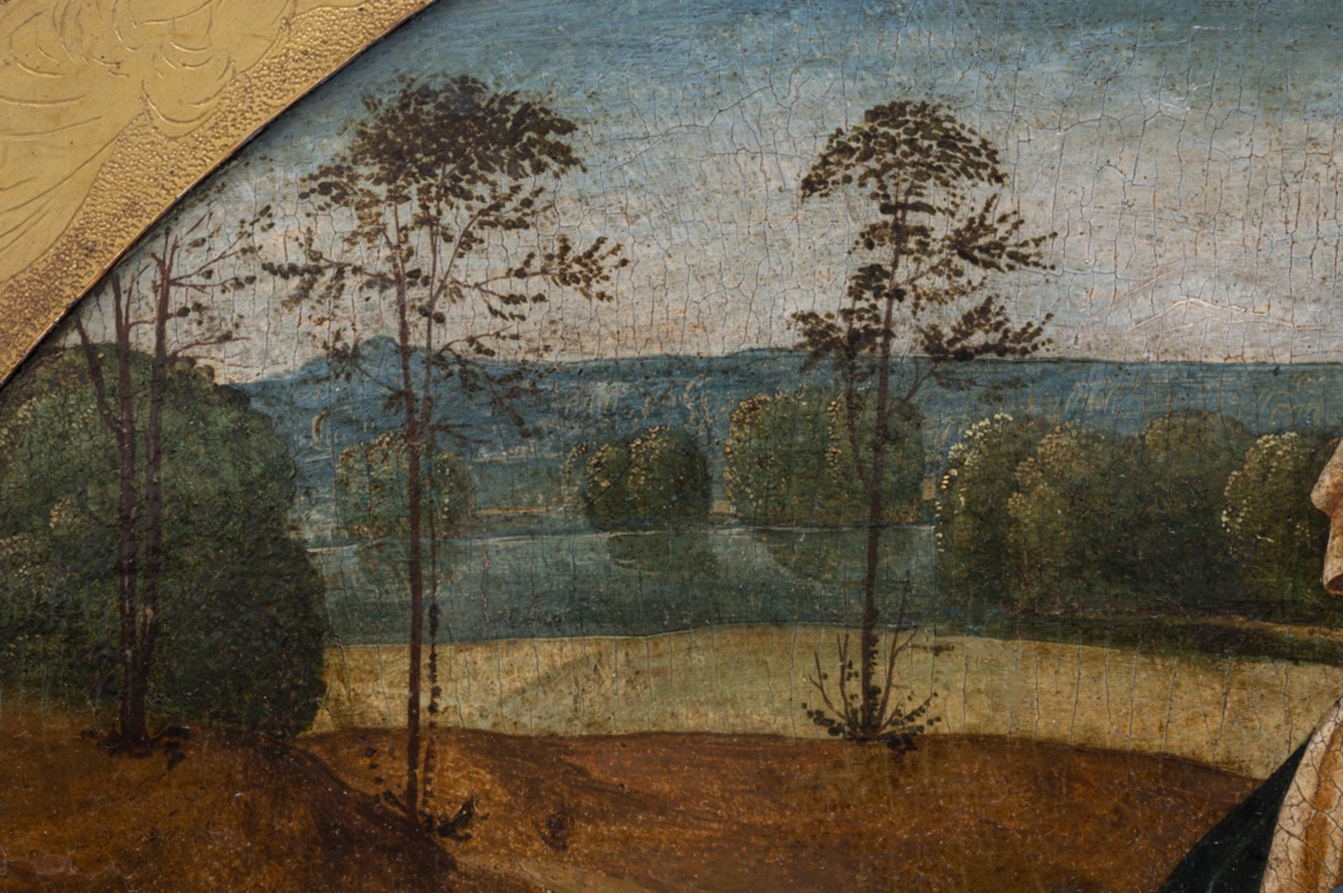 Liberale da Verona (1441 - 1526) - Bild 3 aus 5