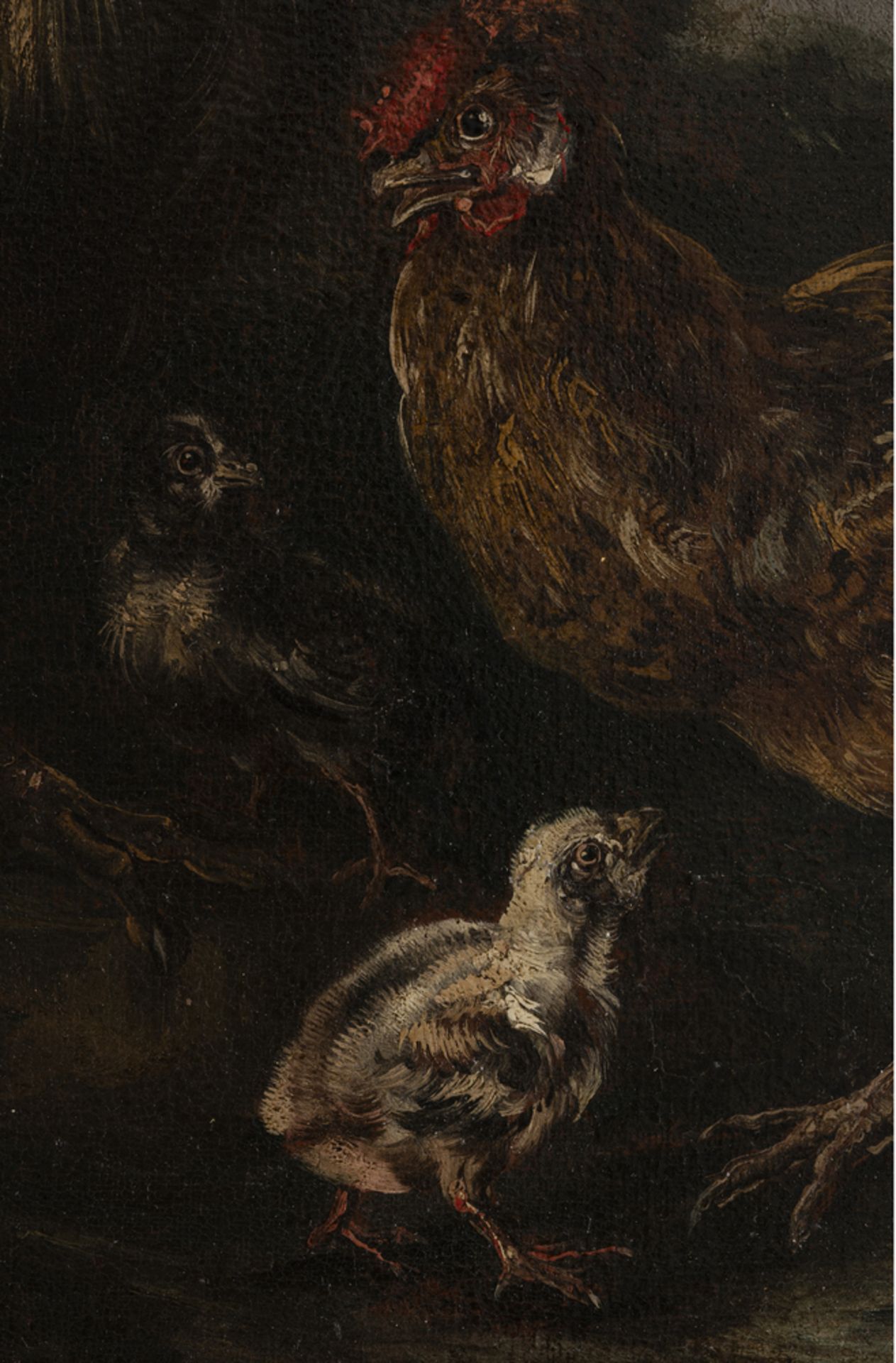Felice Boselli (1650-1732) - Bild 5 aus 5