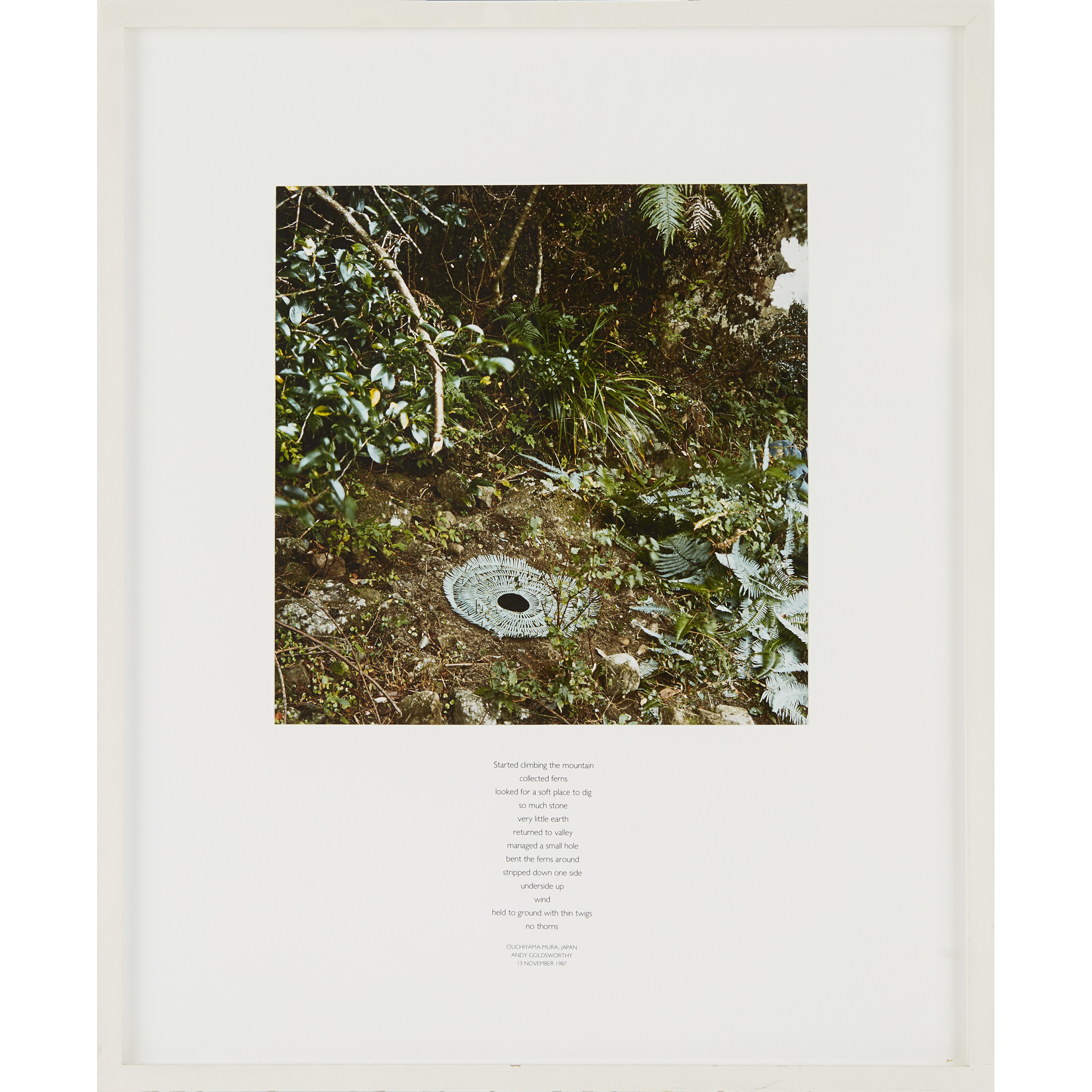 † § Andy Goldsworthy O.B.E. (British B.1956) STARTED CLIMBING 1987, chromogenic print - Image 4 of 4