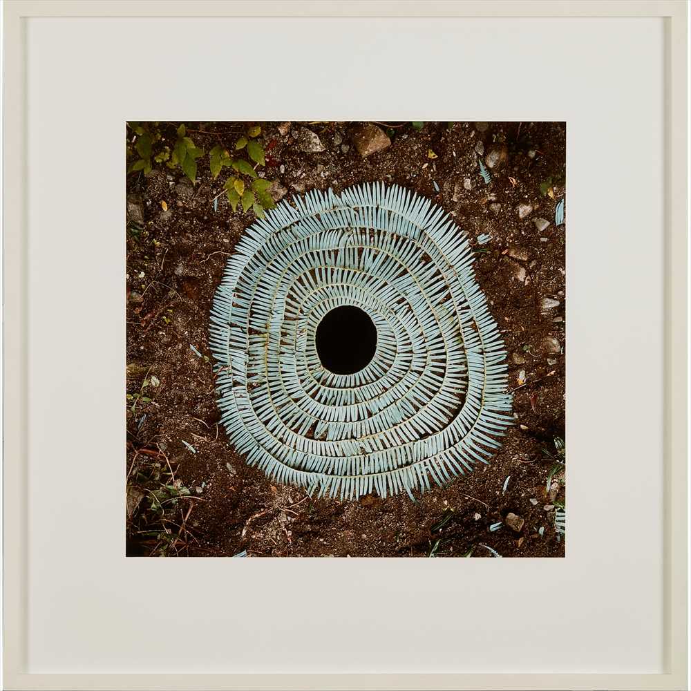 † § Andy Goldsworthy O.B.E. (British B.1956) STARTED CLIMBING 1987, chromogenic print - Image 3 of 4