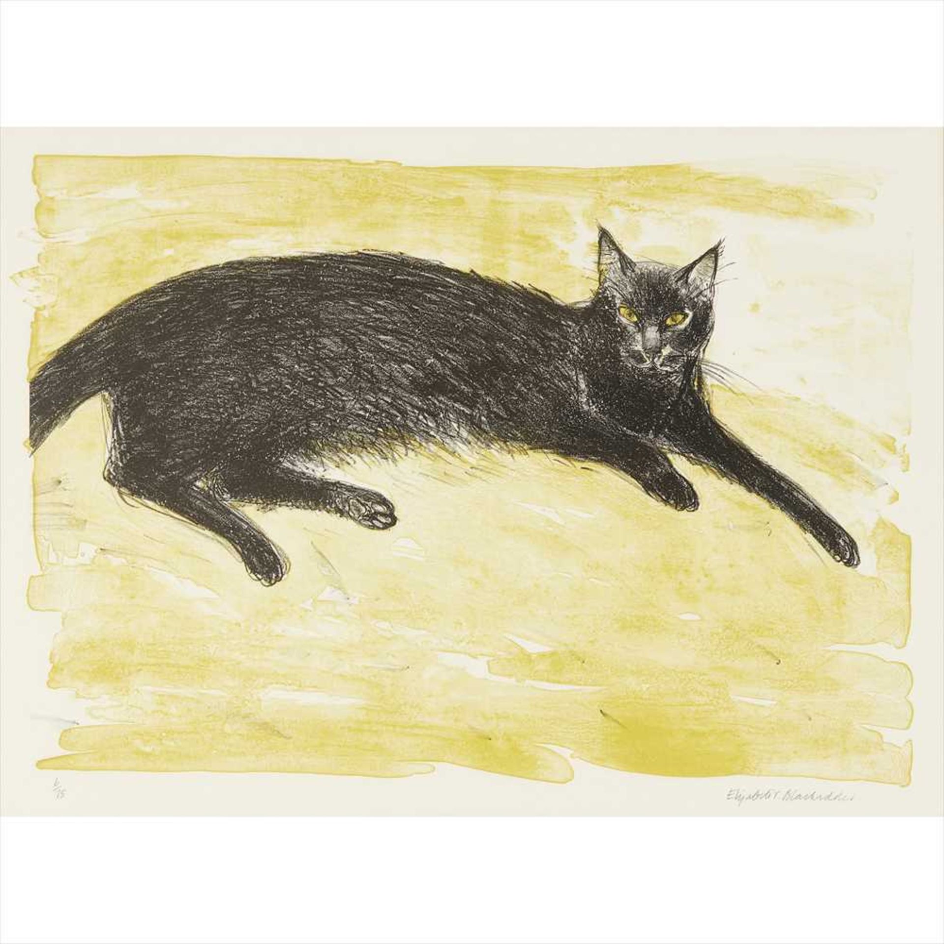 § Elizabeth Blackadder O.B.E., R.A., R.S.A., R.S.W., R.G.I., D.Litt (Scottish B.1931) Black Cat