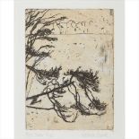 § Victoria Crowe O.B.E., F.R.S.E., R.S.A., R.S.W. (Scottish B.1945) SNOW PINE Intaglio, chine