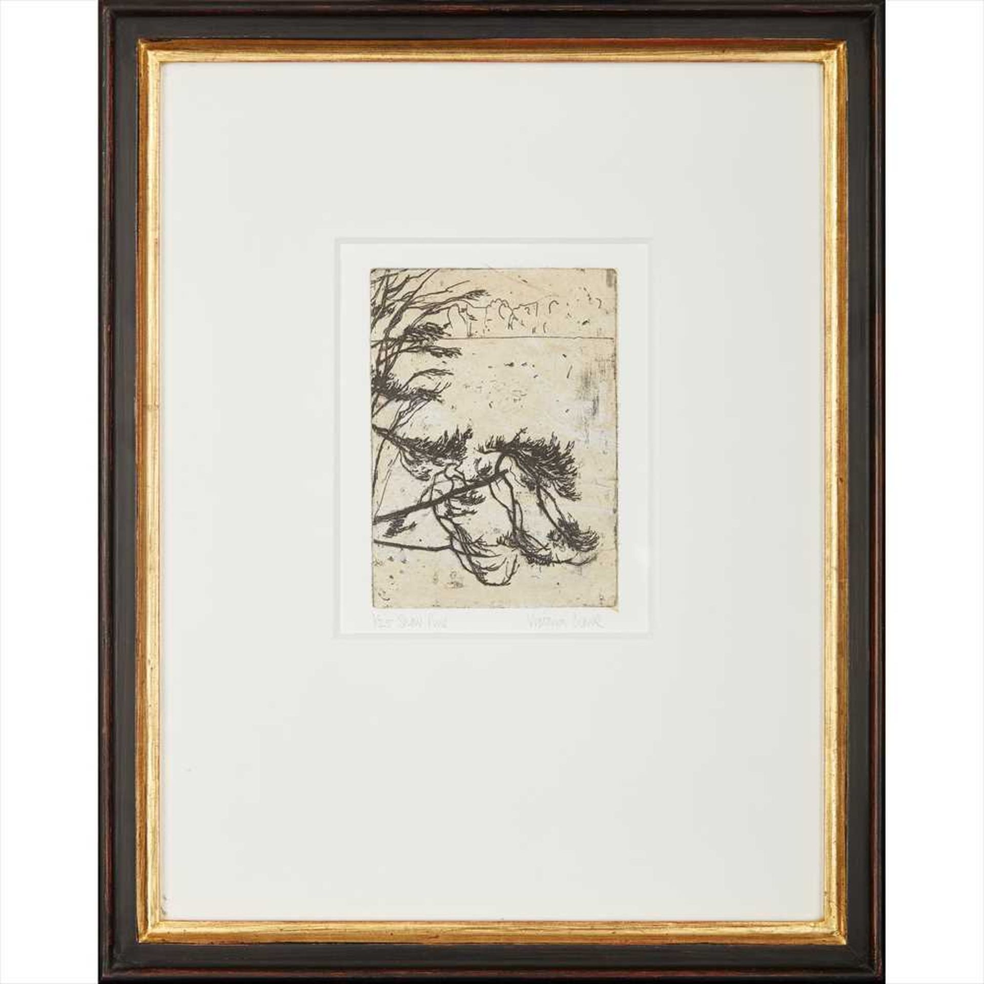 § Victoria Crowe O.B.E., F.R.S.E., R.S.A., R.S.W. (Scottish B.1945) SNOW PINE Intaglio, chine - Image 2 of 2