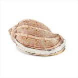 A sea shell snuff box