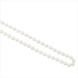 A single strand of opera length cultured pearls