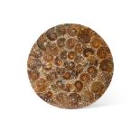 AMMONITE PLATE MADAGASCAR, JURASSIC PERIOD, 180 MILLION YEARS BP