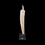 Y FINE JAPANESE IVORY 'CORN COB' OKIMONO MEIJI PERIOD