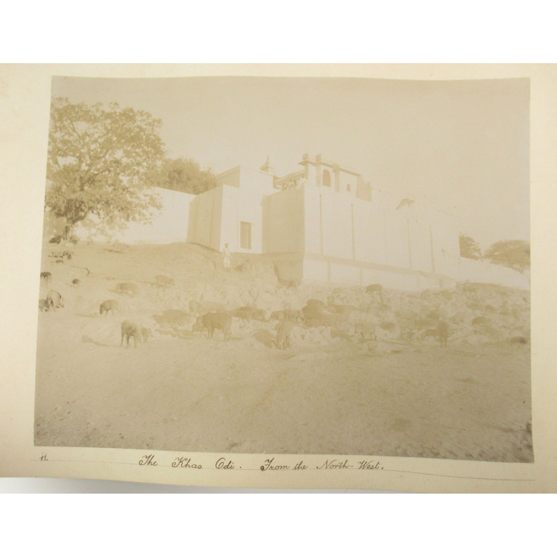 India: a photograph album Photographs of Rajasthan by Mohan Lal of Udaipur, late 19th century - Image 6 of 23