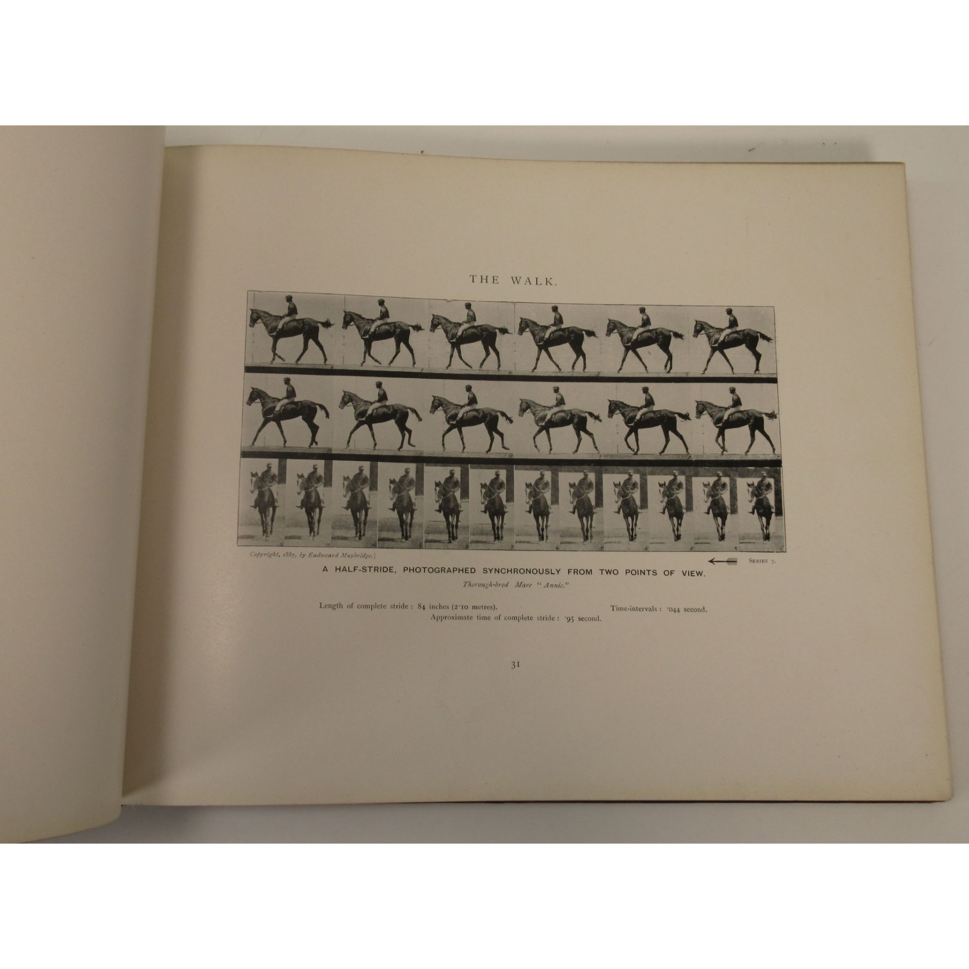 Muybridge, Eadweard Animals in Motion - Image 2 of 6