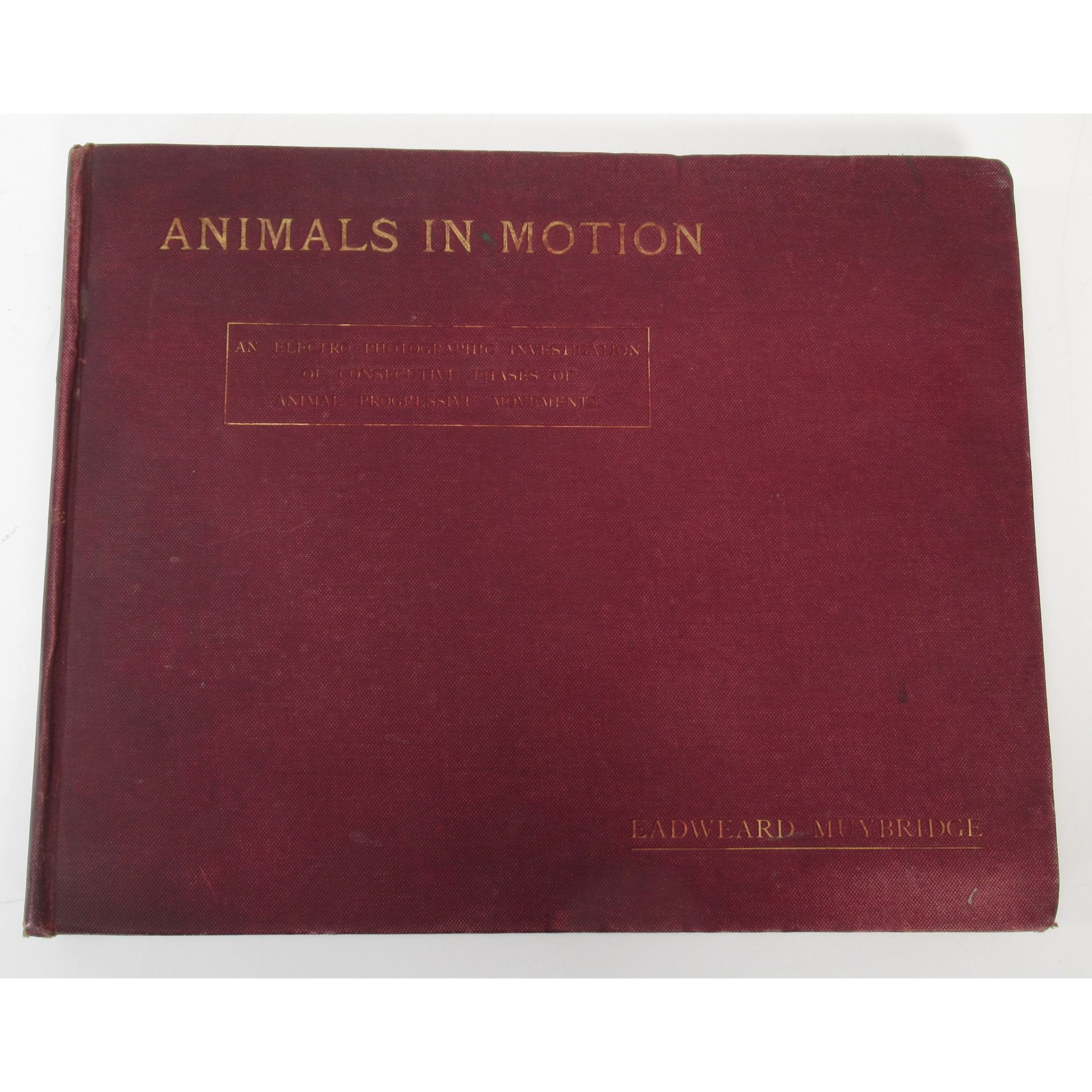 Muybridge, Eadweard Animals in Motion - Image 6 of 6