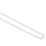 A single strand of opera length cultured pearls