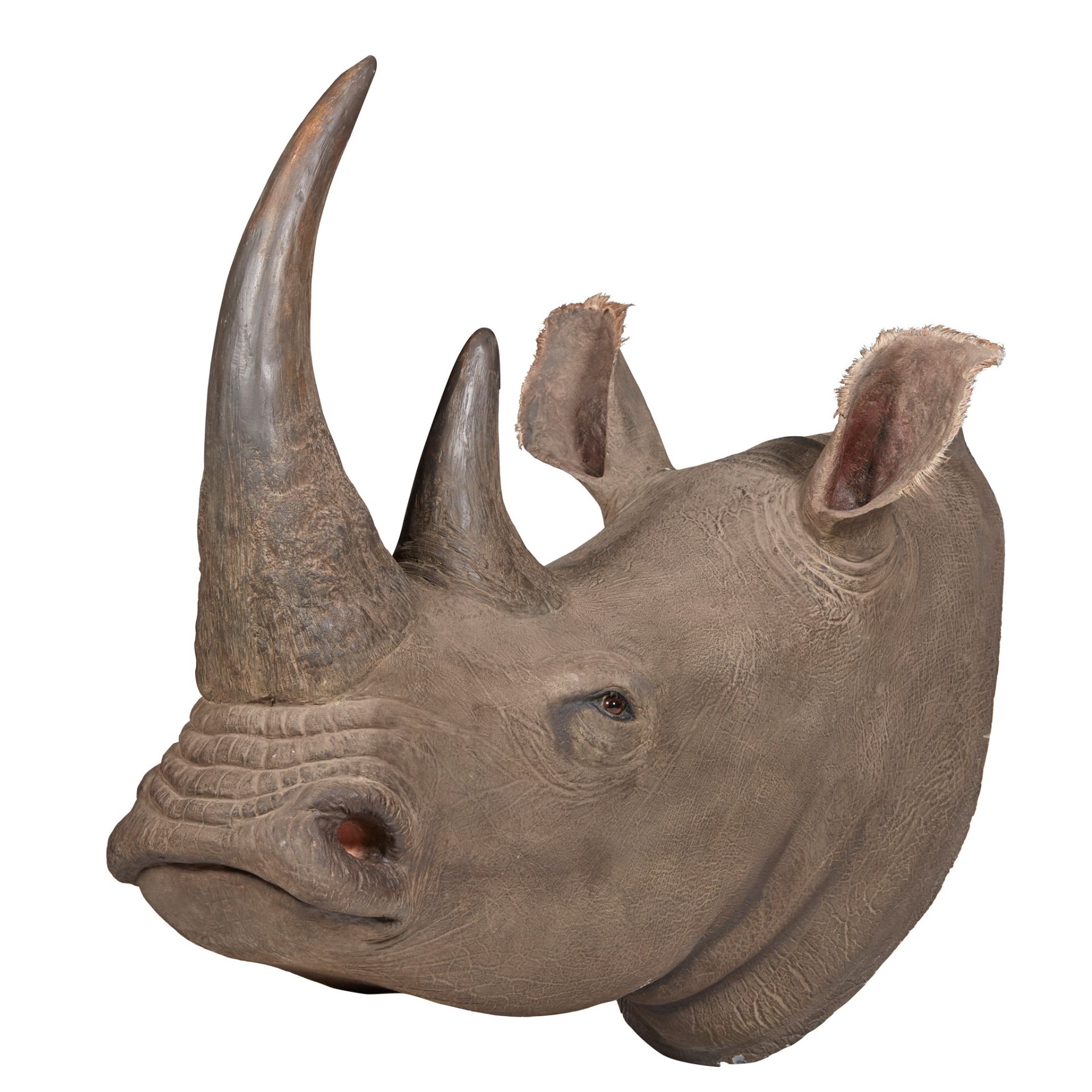 RESIN MODEL OF A RHINOCEROS HEAD MODERN