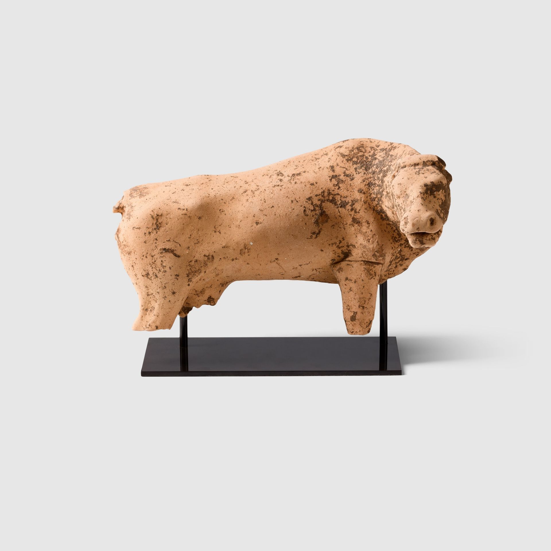 ANCIENT GREEK VOTIVE COW GREECE, C. 450 B.C. - Image 3 of 3