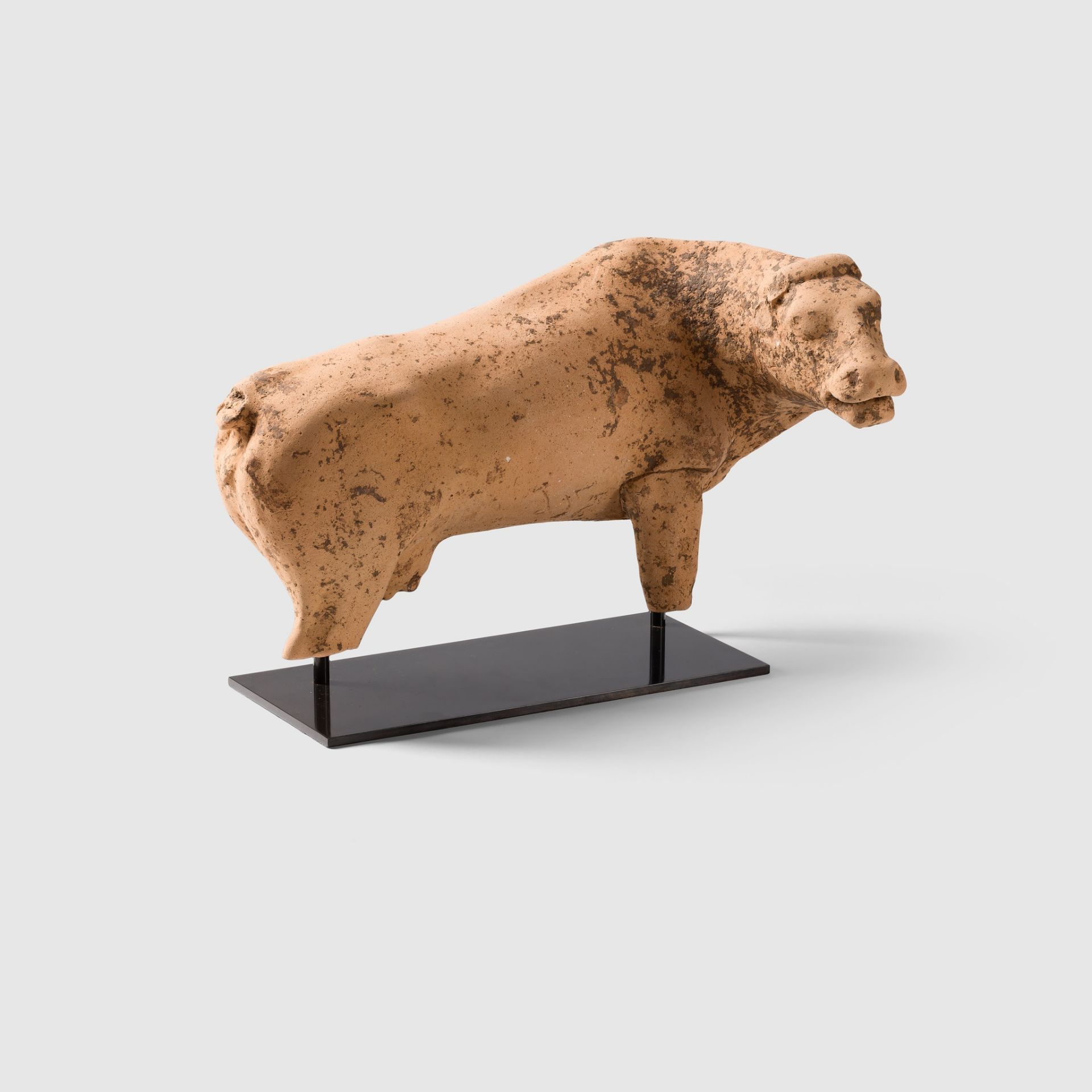 ANCIENT GREEK VOTIVE COW GREECE, C. 450 B.C. - Image 2 of 3