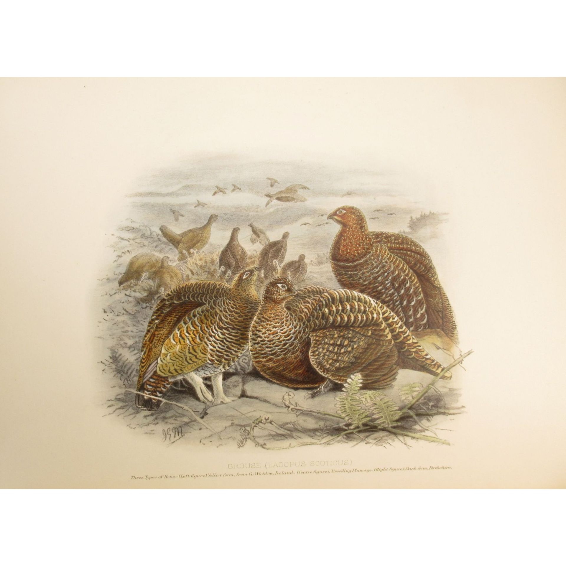 Millais, John Guille Game Birds and Shooting-Sketches - Bild 3 aus 4