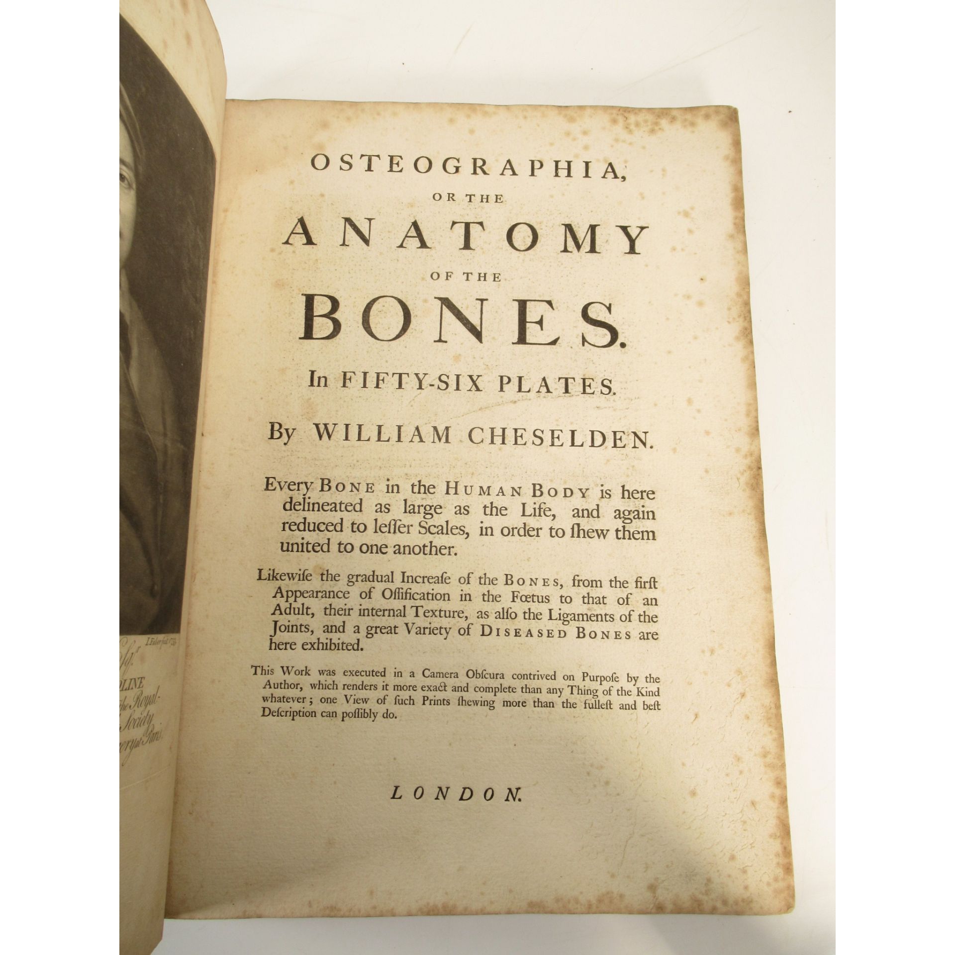 Cheselden, William Osteographia - Bild 2 aus 4