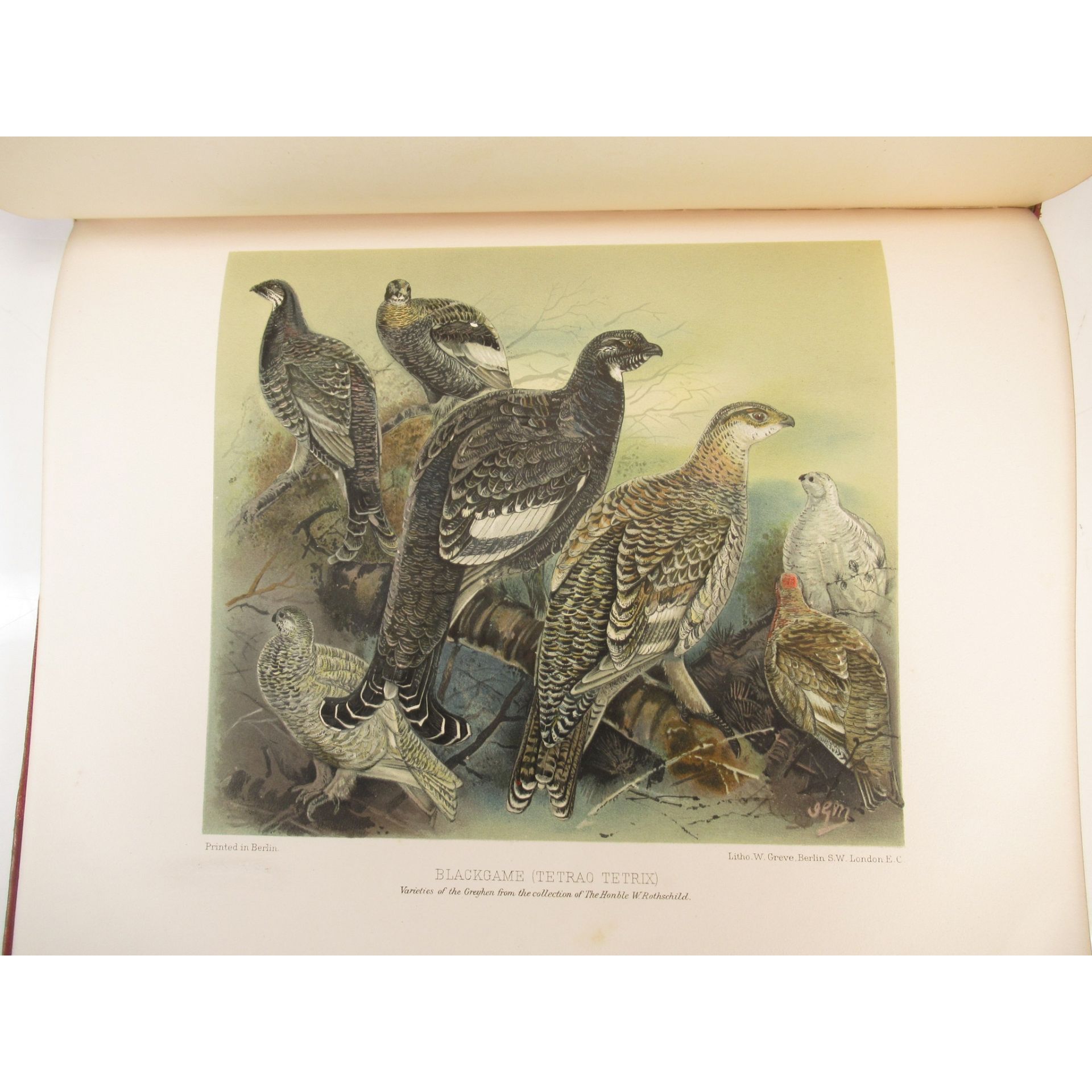 Millais, John Guille Game Birds and Shooting-Sketches - Bild 2 aus 4