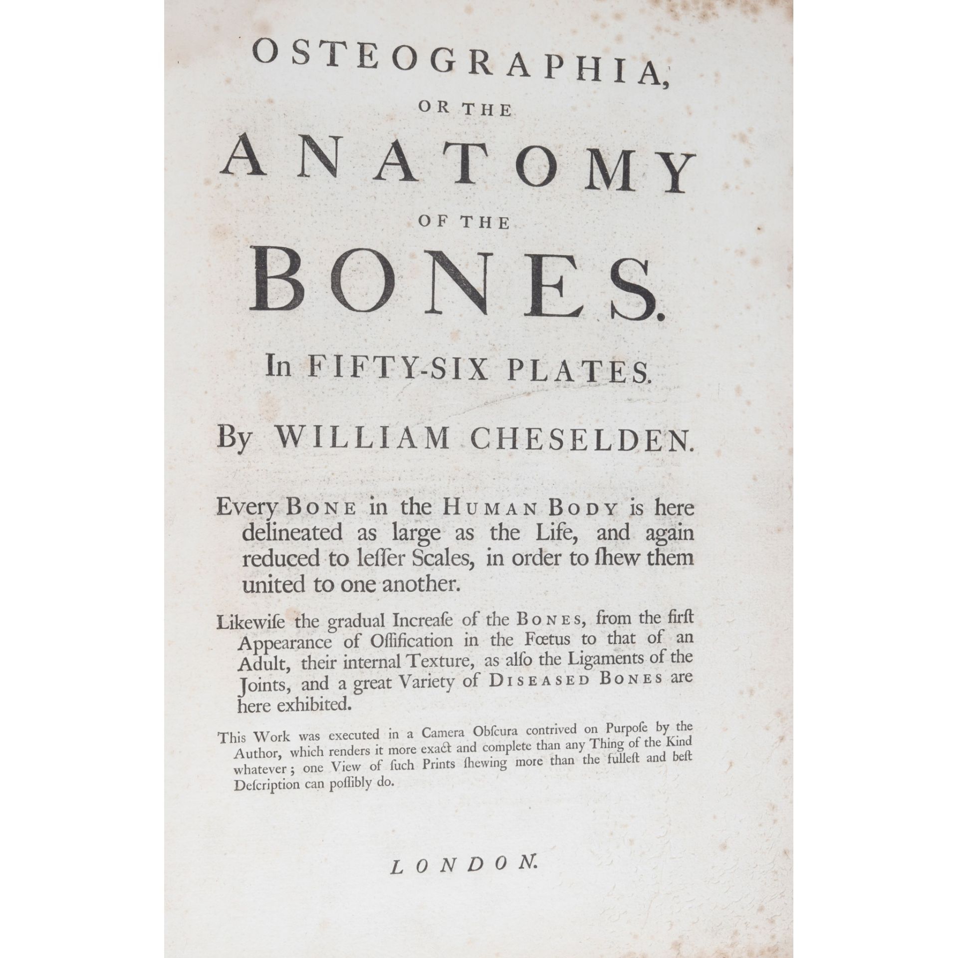 Cheselden, William Osteographia - Bild 4 aus 4