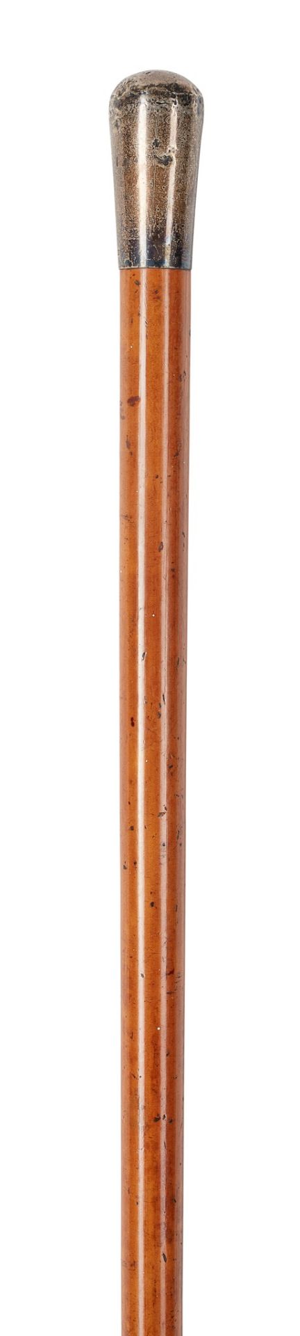 Y LARGE COLLECTION OF WALKING STICKS AND CANES LATE 19TH/EARLY 20TH CENTURY - Bild 13 aus 16