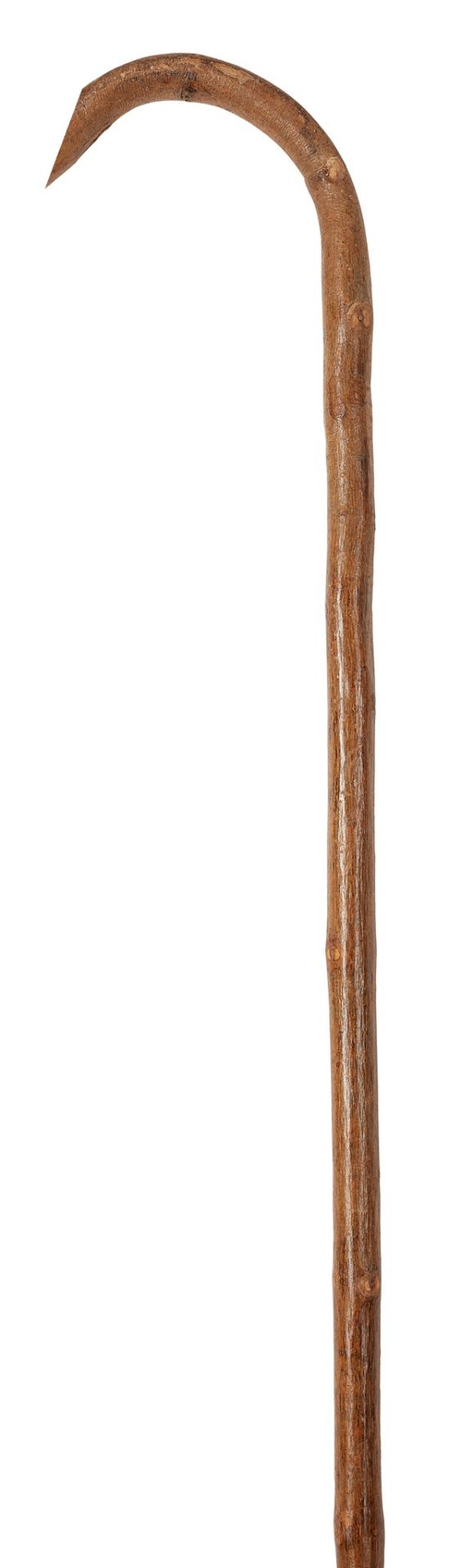 Y LARGE COLLECTION OF WALKING STICKS AND CANES LATE 19TH/EARLY 20TH CENTURY - Bild 12 aus 16