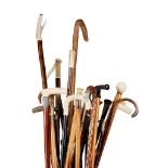 Y LARGE COLLECTION OF WALKING STICKS AND CANES LATE 19TH/EARLY 20TH CENTURY