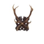 PAIR OF BLACK FOREST ANTLER AND WOOD WALL HOOKS LATE 19TH CENTURY