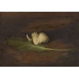 SIR GEORGE PIRIE R.S.A, R.S.W., L.L.D (SCOTTISH 1864-1946) YOUNG RABBITS