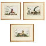 GROUP OF THREE PITH PAINTINGS OF BIRDS LATE QING DYNASTY-REPUBLIC PERIOD, 19TH-20TH CENTURY