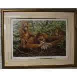 Alan M Hunt 'But This is Our House' - Orangutans Signed limited edition print, 93/750 Washington