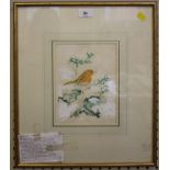 Roland Green (1896 - 1972) 'Robin in the Snow' pencil, watercolour and white provenance on the
