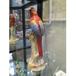 A Meissen parrot, crossed swords mark in blue, 31cm