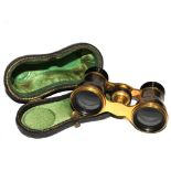 A pair of opera glasses/binoculars with cloisonne enamel barrels in original fitted green leather