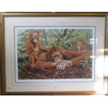 Alan M Hunt 'But This is Our House' - Orangutans Signed limited edition print, 93/750 Washington