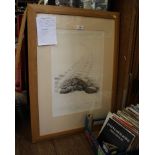 Gary Hodges Green Turtle limited edition print 346/850, signed in pencil 50 x 33 cm