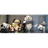 Seven pandas by Steiff 43cm, Hermann and Isabelle (7)