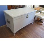 A painted 'Blignaut' chest, the hinged lid attached to a rising tray over brass twin handles, on