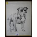 After John Trickett Staffordshire Bull Terrier limited edition print 59/500 signed in pencil 28 x 36