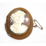 A Victorian shell cameo carved to depict a Grecian lady set in a gold colour frame