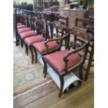 A set of seven mahogany Regency dining chairs, the gadrooned and scroll carved top rails over