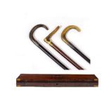 A 19TH CENTURY MAHOGANY GUN CASE 81cm x 25cm x 8cm, two horn crook handled walking sticks with white