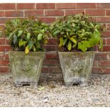 A PAIR OF CAST RECONSTITUTED STONE SQUARE TAPERING PLANTERS decorated with lion masks to the