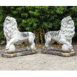 A PAIR OF LARGE CAST RECONSTITUTED MARBLE MEDICI STYLE LIONS each standing with a paw resting on a