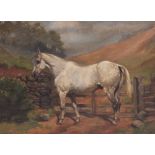 EARLY 20TH CENTURY ENGLISH SCHOOL horse standing by a field gate, oil on canvas, unsigned, 37.5cm