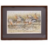 JOHN TENNENT Black tailed godwits, print, signed and dated 1975, titled and numbered 84/90 in pencil