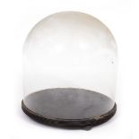 A GLASS DOME approximately 32cm diameter x 35cm high on a turned ebonised base with bun feet