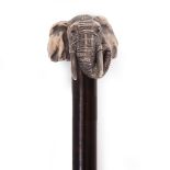 A CONTEMPORARY STERLING SILVER TOPPED WALKING CANE in the form of an bull elephants head, 89cm in