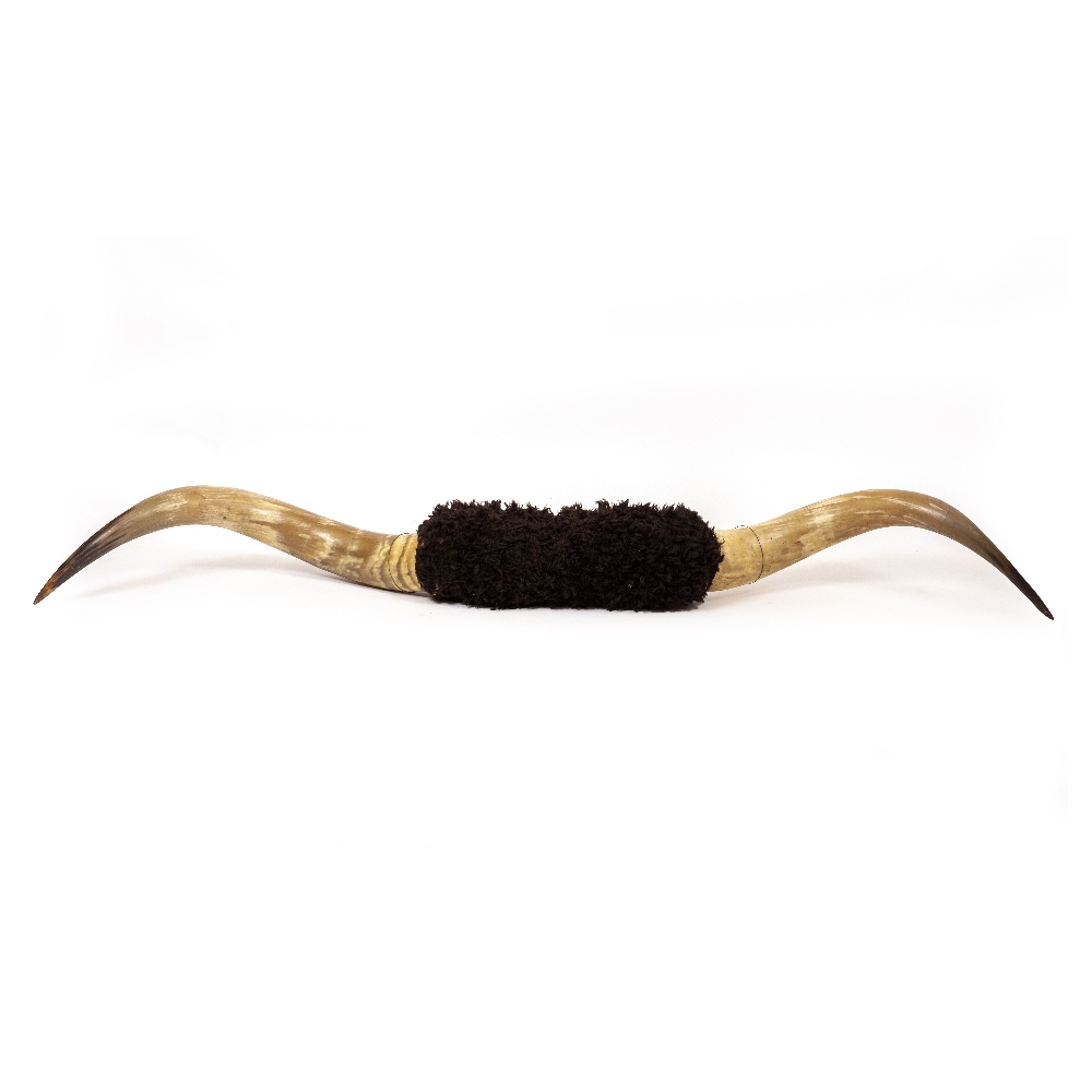 A PAIR OF OLD BUFFALO HORNS for wall mounting, 184cm wide tip to tip