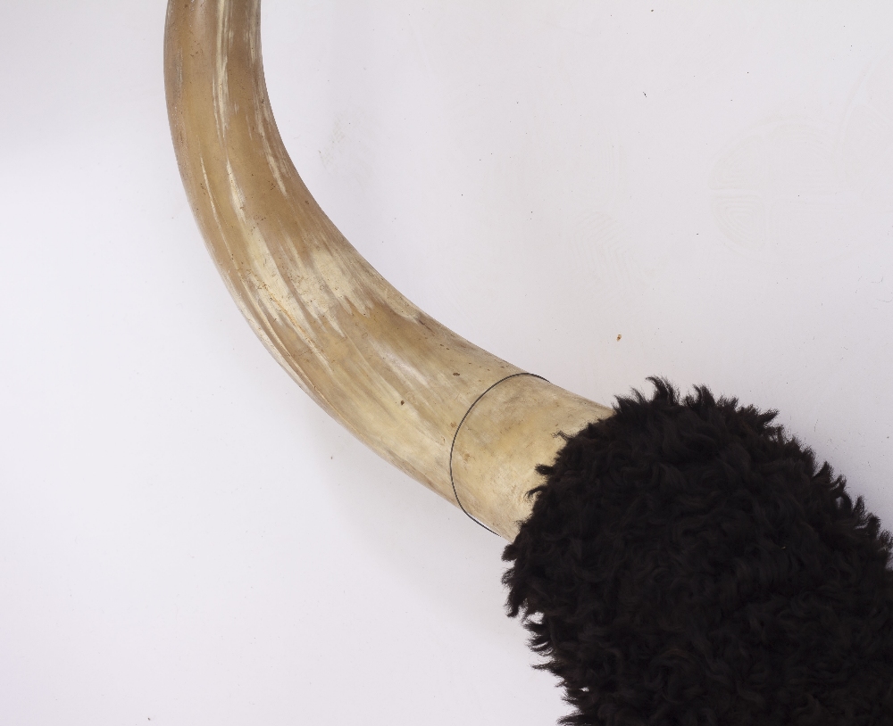 A PAIR OF OLD BUFFALO HORNS for wall mounting, 184cm wide tip to tip - Bild 3 aus 3