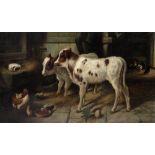 P CHALON (LATE 19TH CENTURY SCHOOL) Two calves in a barn, oil on canvas, signed and dated 1871, 73.5